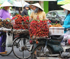 как начать бизнес с Вьетнамом - фото - 1